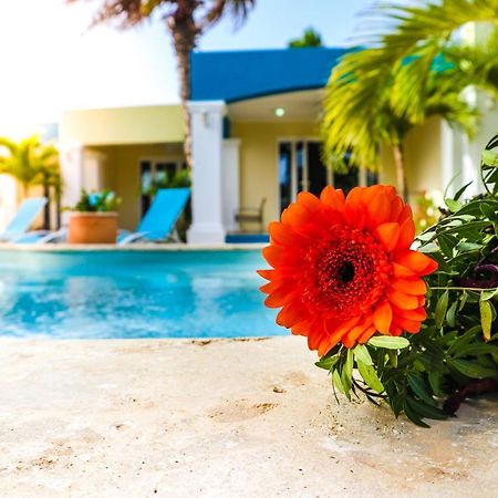Aqua Viva Suites Playa Dış mekan fotoğraf