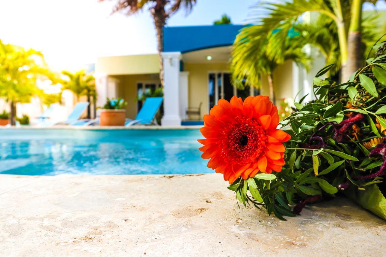 Aqua Viva Suites Playa Dış mekan fotoğraf